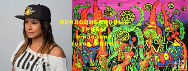 круглые Горно-Алтайск