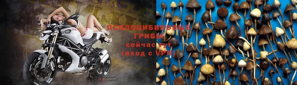 молекула духа Горнозаводск