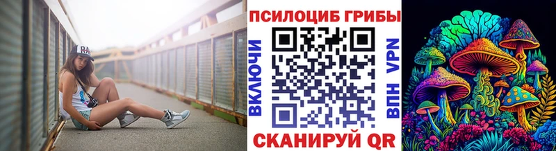 Купить где  Котовск  Псилоцибиновые грибы Magic Shrooms 